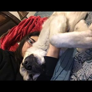 Meet your Posher, Karina